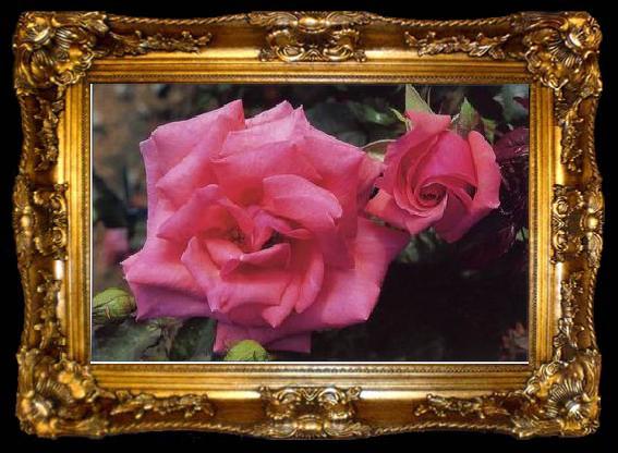 framed  unknow artist Still life floral, all kinds of reality flowers oil painting  185, ta009-2